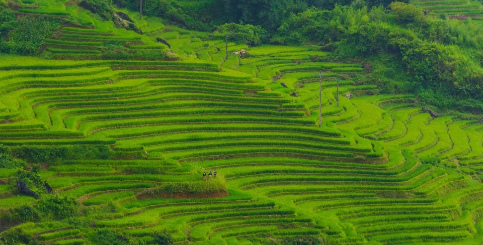 Kho gạo của Nguyễn Thị Kim Ngọc